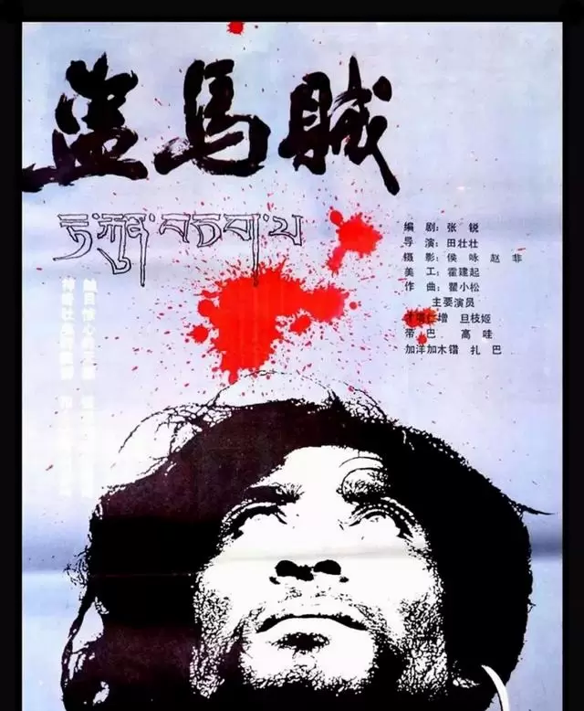 舒琪执导新片《纸皮婆婆》筹备遇资金中断仍坚持惠英红主演 情报图