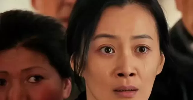 徐梵溪改名复出十二年，凭《小欢喜》《大江大河3》重塑演员身份 情报图