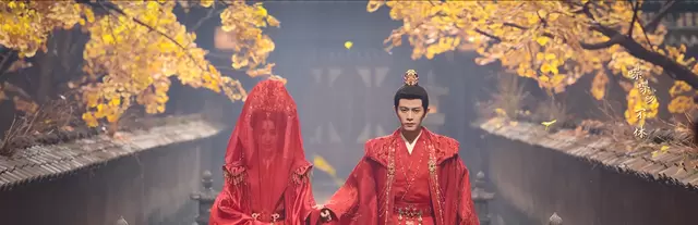 《佳偶天成》开播即陷逻辑争议，任嘉伦王鹤润双线叙事遭质疑 细节速览