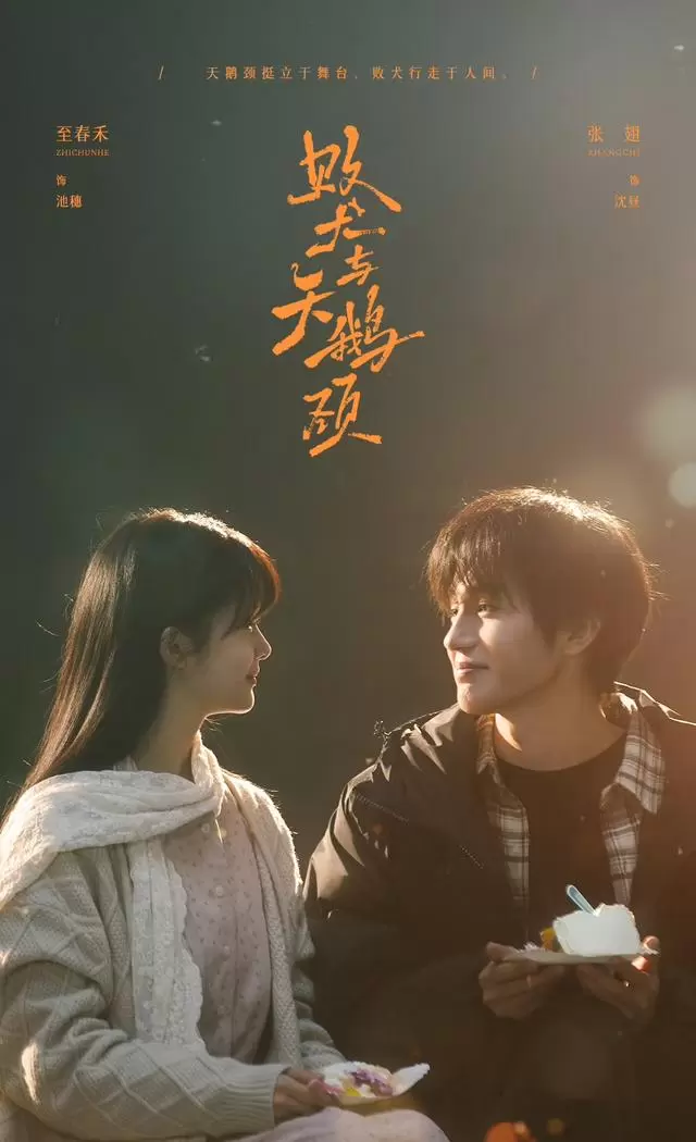 张翅至春禾第四次合作《败犬与天鹅颈》演绎池穗沈昼双向救赎 情报图 张翅至春禾第四次合作《败犬与天鹅颈》演绎池穗沈昼双向救赎 情报图