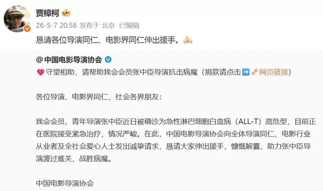 导演张中臣确诊急性淋巴细胞白血病,贾樟柯等发起援助 情报图 导演张中臣确诊急性淋巴细胞白血病,贾樟柯等发起援助 情报图